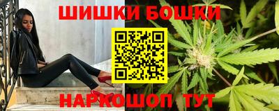 гидропоника Пугачёв