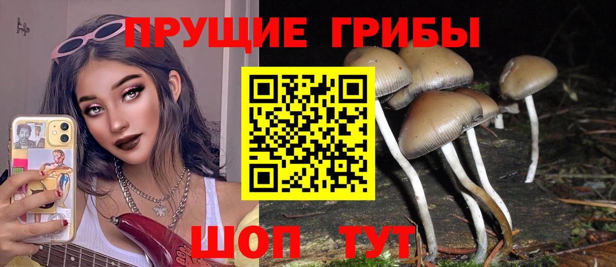 Псилоцибиновые грибы прущие грибы Сафоново