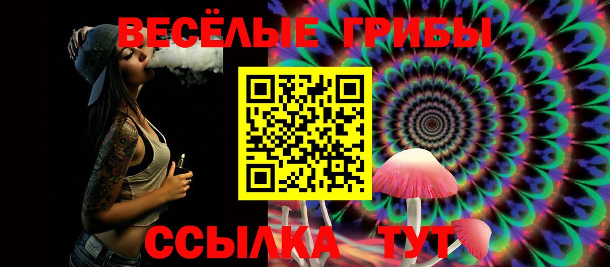 Сафоново  Галлюциногенные грибы ЛСД  Вход с VPN 